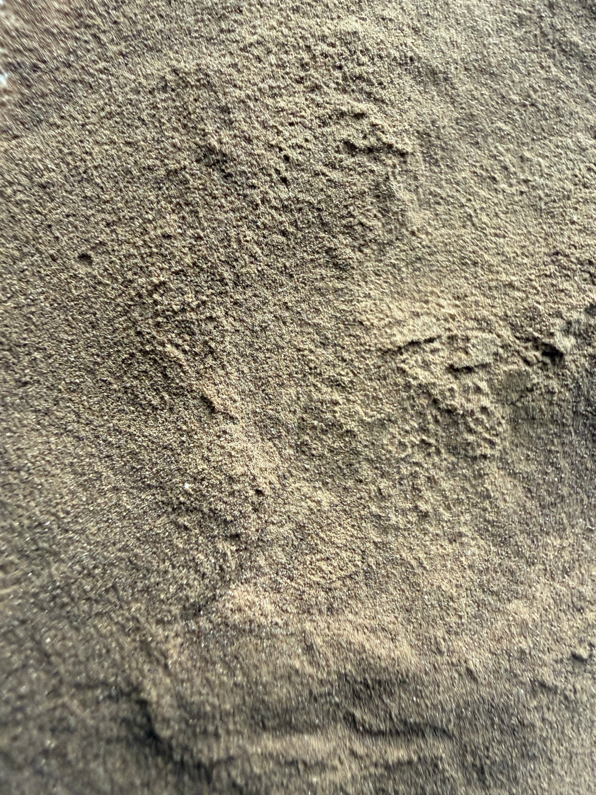 Sarsaparilla Root Extract Powder 4:1 (Smilax china) – GARDENS OF THE ANCIENTS®