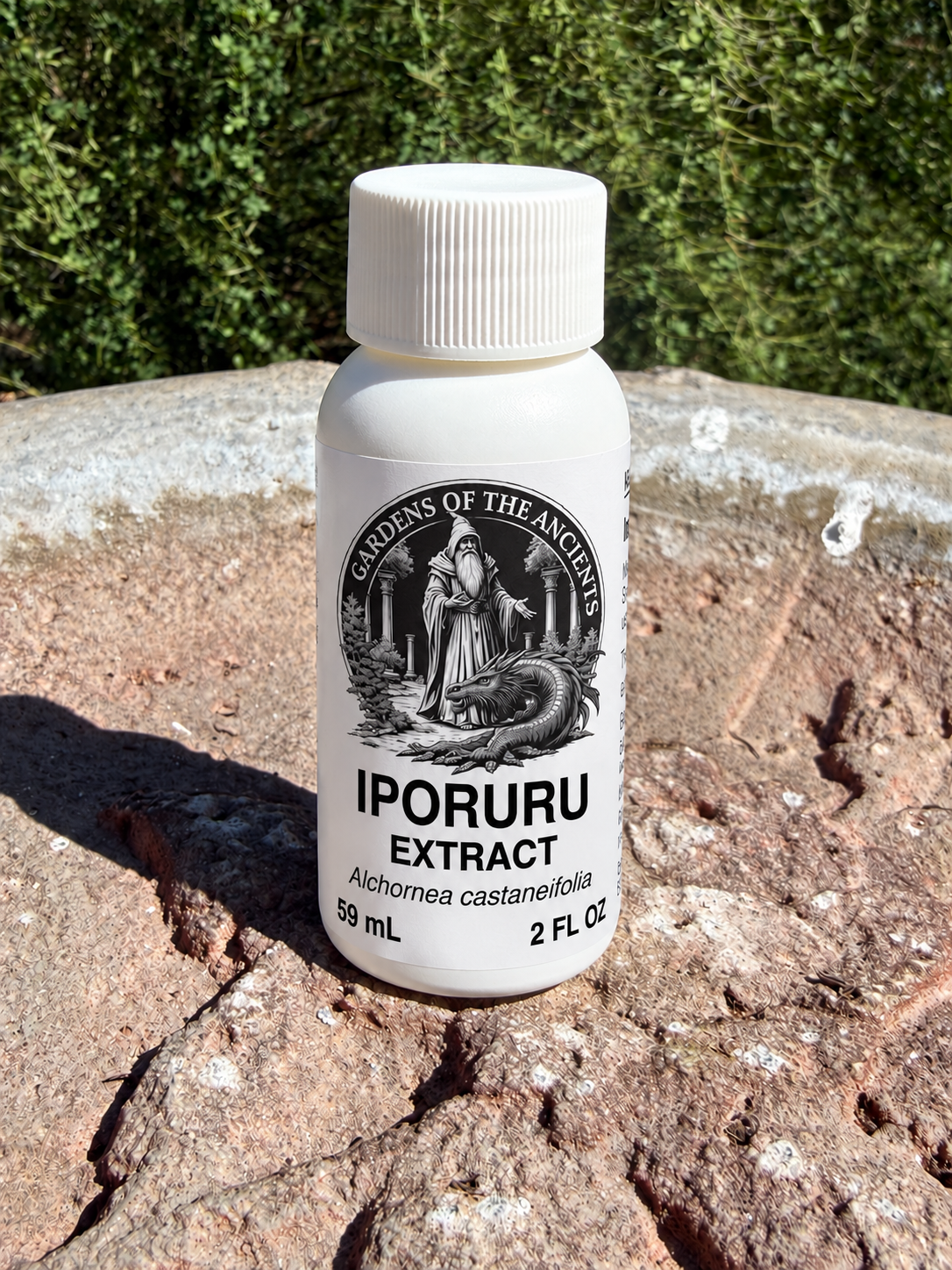 Iporuru Extract – Alchornea castaneifolia – GARDENS OF THE ANCIENTS®