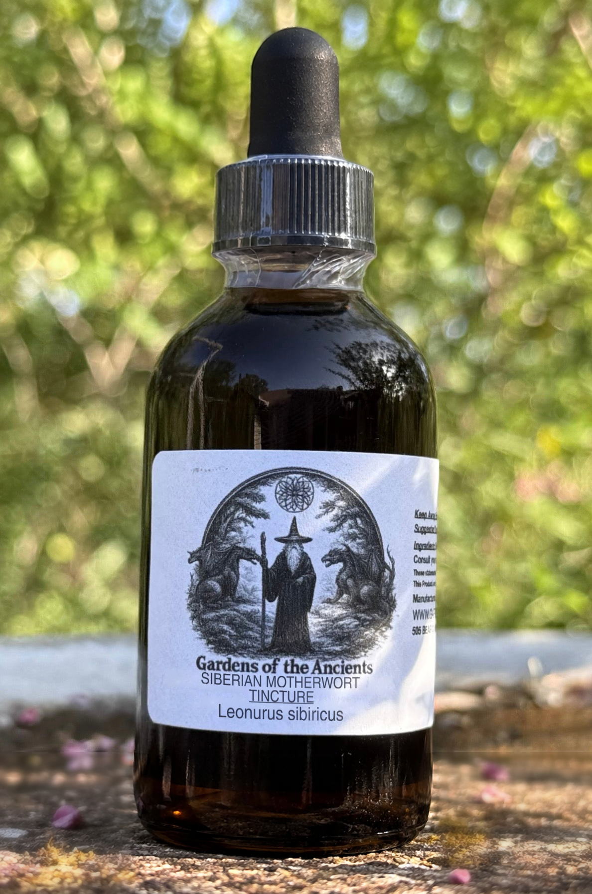 Siberian Motherwort Tincture – Leonurus sibiricus (Xi Ye Yi Mu Cao 细叶益母草) – GARDENS OF THE ANCIENTS®