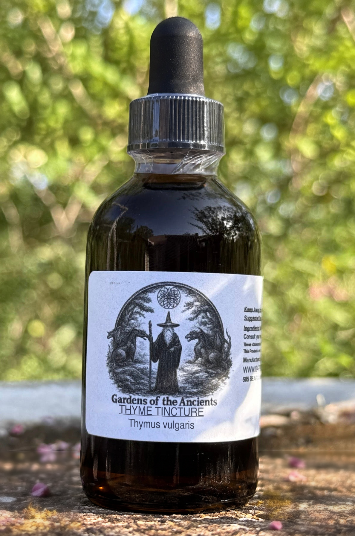 Thyme Tincture – Thymus vulgaris (Bai Li Xiang 百里香) – GARDENS OF THE ANCIENTS®