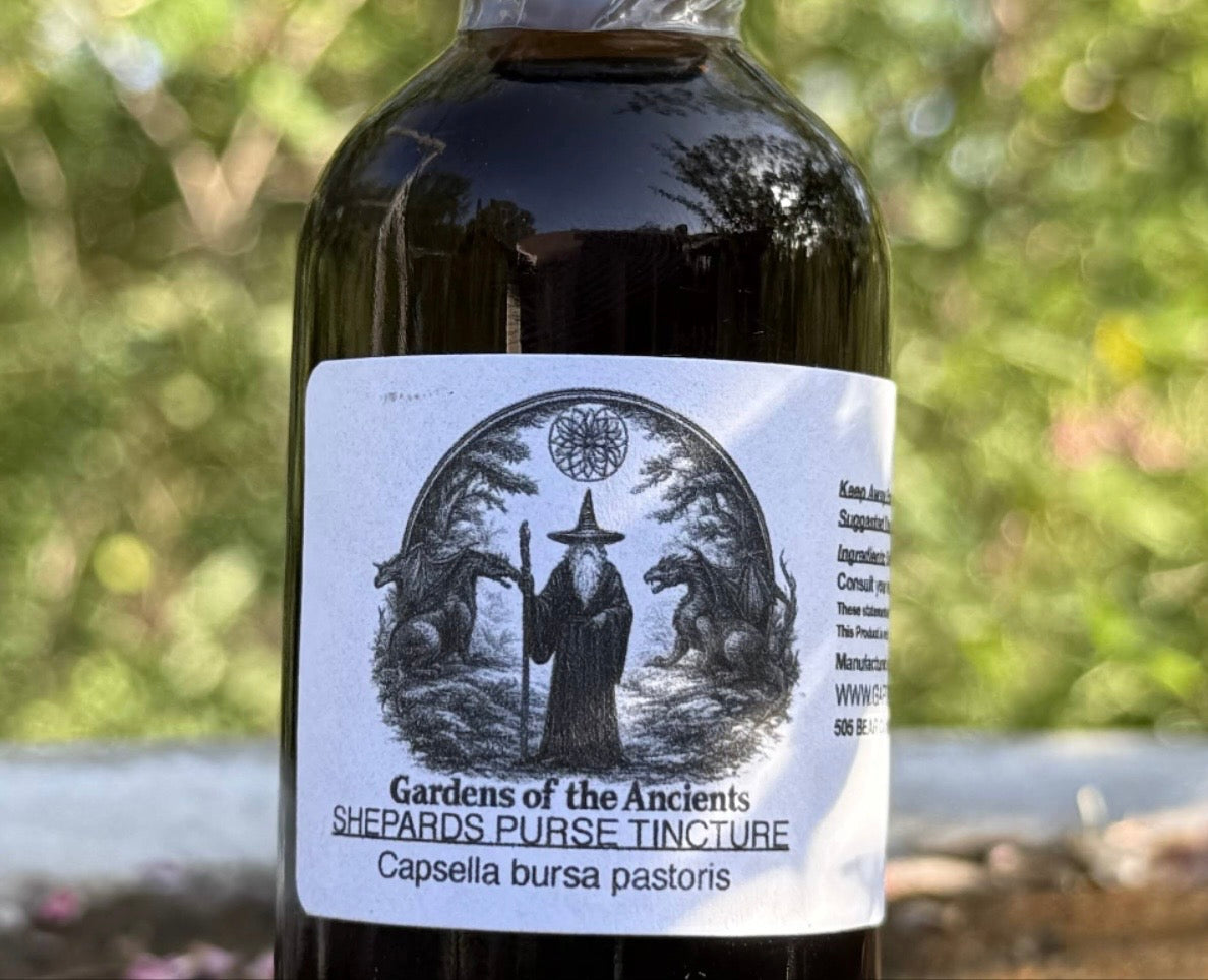 Shepherd's Purse Tincture, 1 oz bottle, GARDENS OF THE ANCIENTS