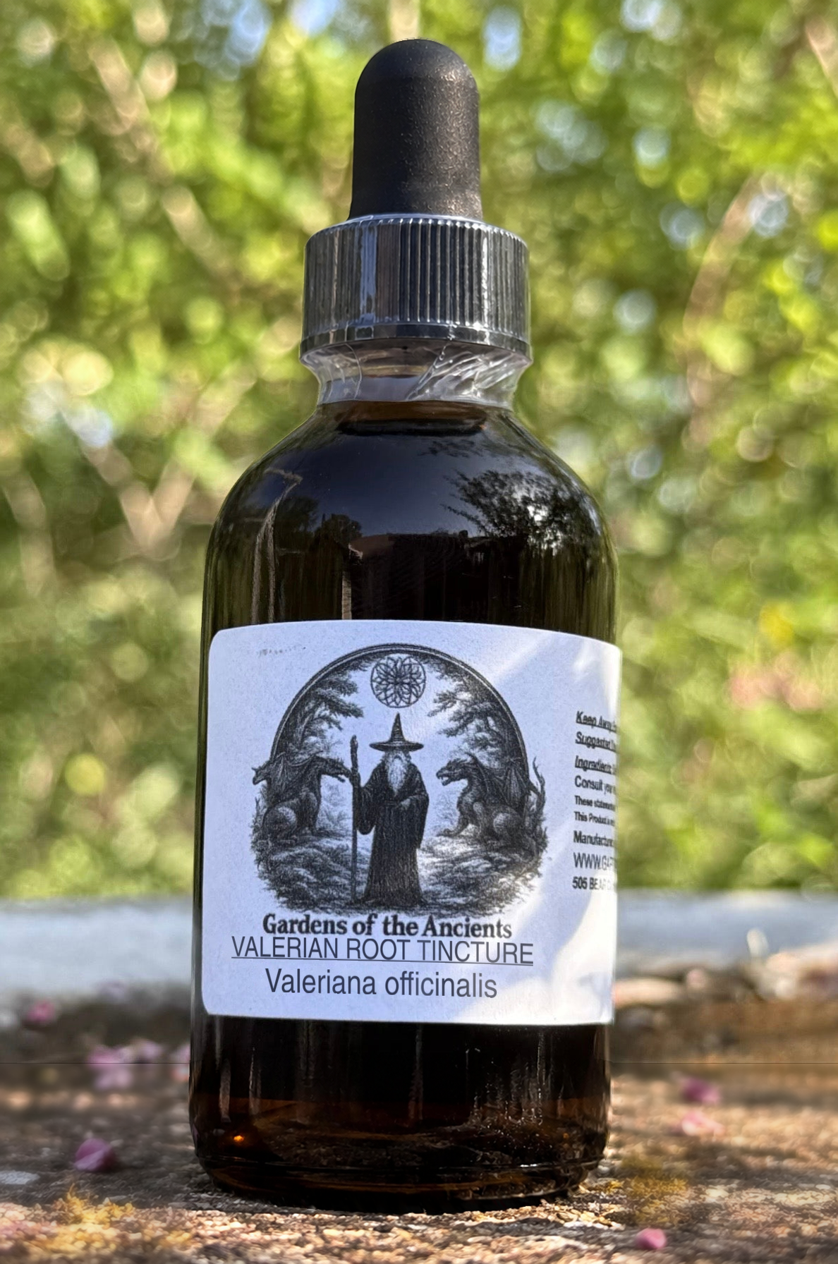 Valerian Root Tincture – Valeriana officinalis (Xie Cao 缬草) – GARDENS OF THE ANCIENTS®