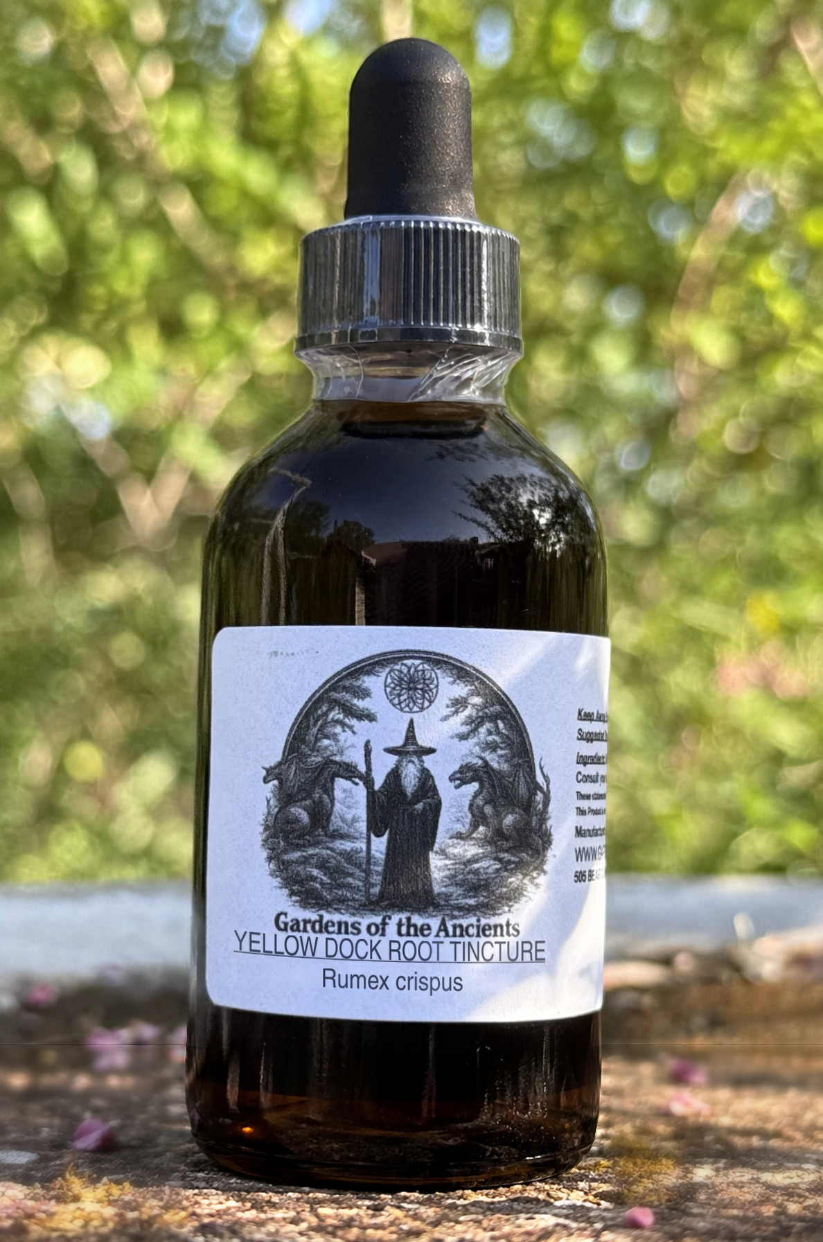 Yellow Dock Root Tincture – Rumex crispus (Zhou Ye Suan Mo 皱叶酸模) – GARDENS OF THE ANCIENTS®