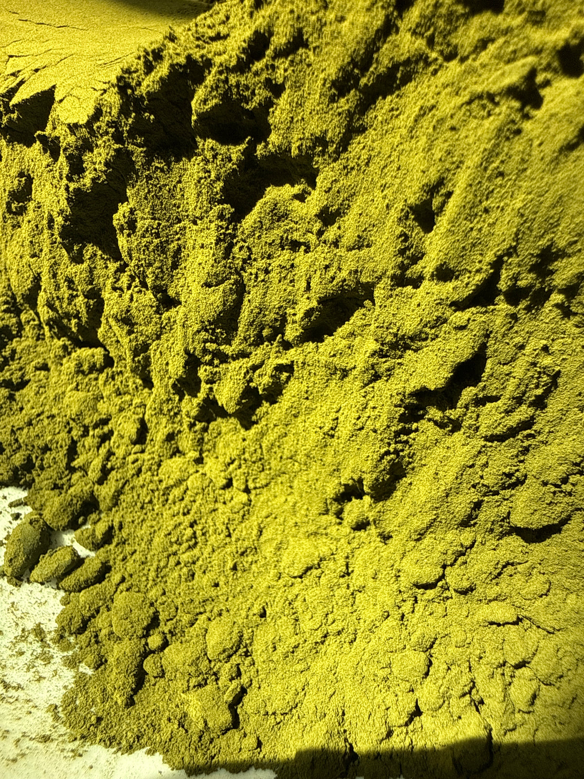 Chlorella Powder Broken Cell (Chlorella spp.) Organic – GARDENS OF THE ANCIENTS®