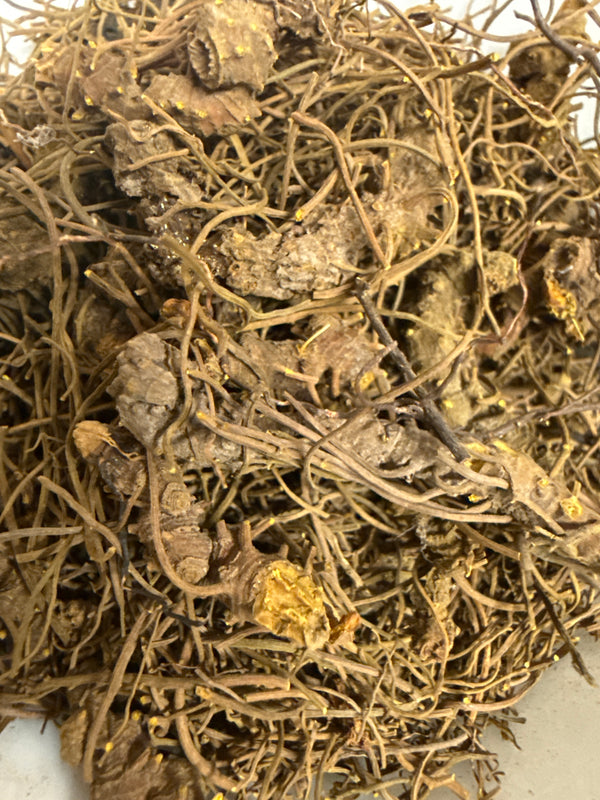 Goldenseal Root Cut – Hydrastis canadensis Wild Harvested – GARDENS OF THE ANCIENTS®