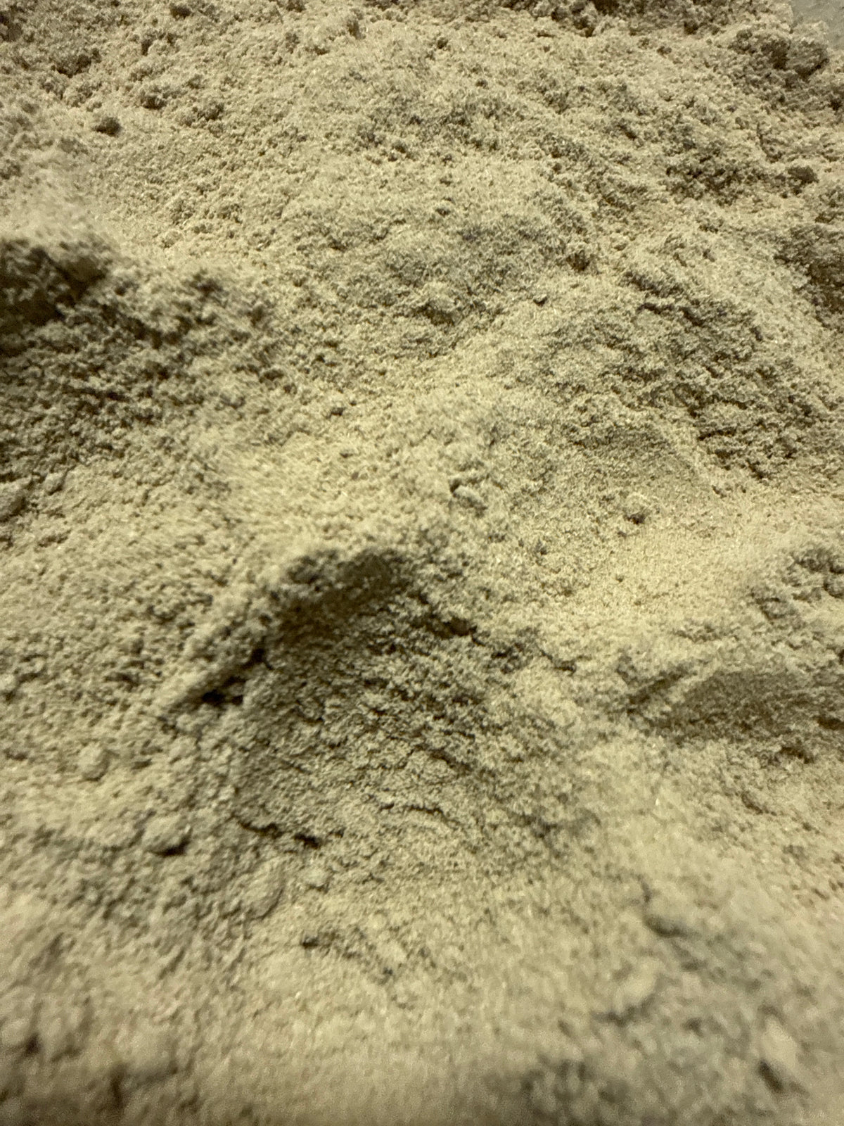 Wheat Grass Powder (Triticum aestivum) Organic – GARDENS OF THE ANCIENTS®
