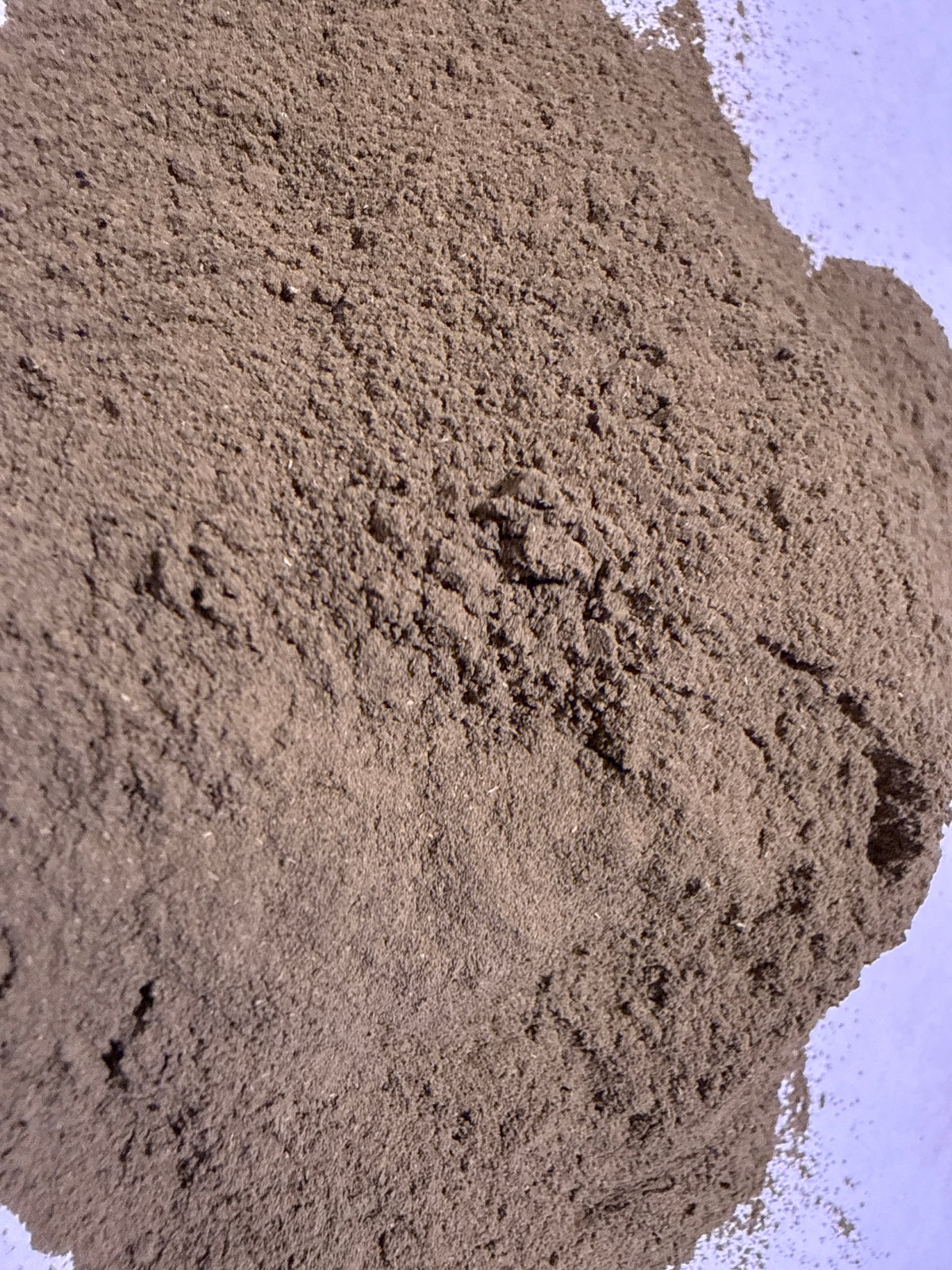 Green Tea Powder (Camellia sinensis) – GARDENS OF THE ANCIENTS®