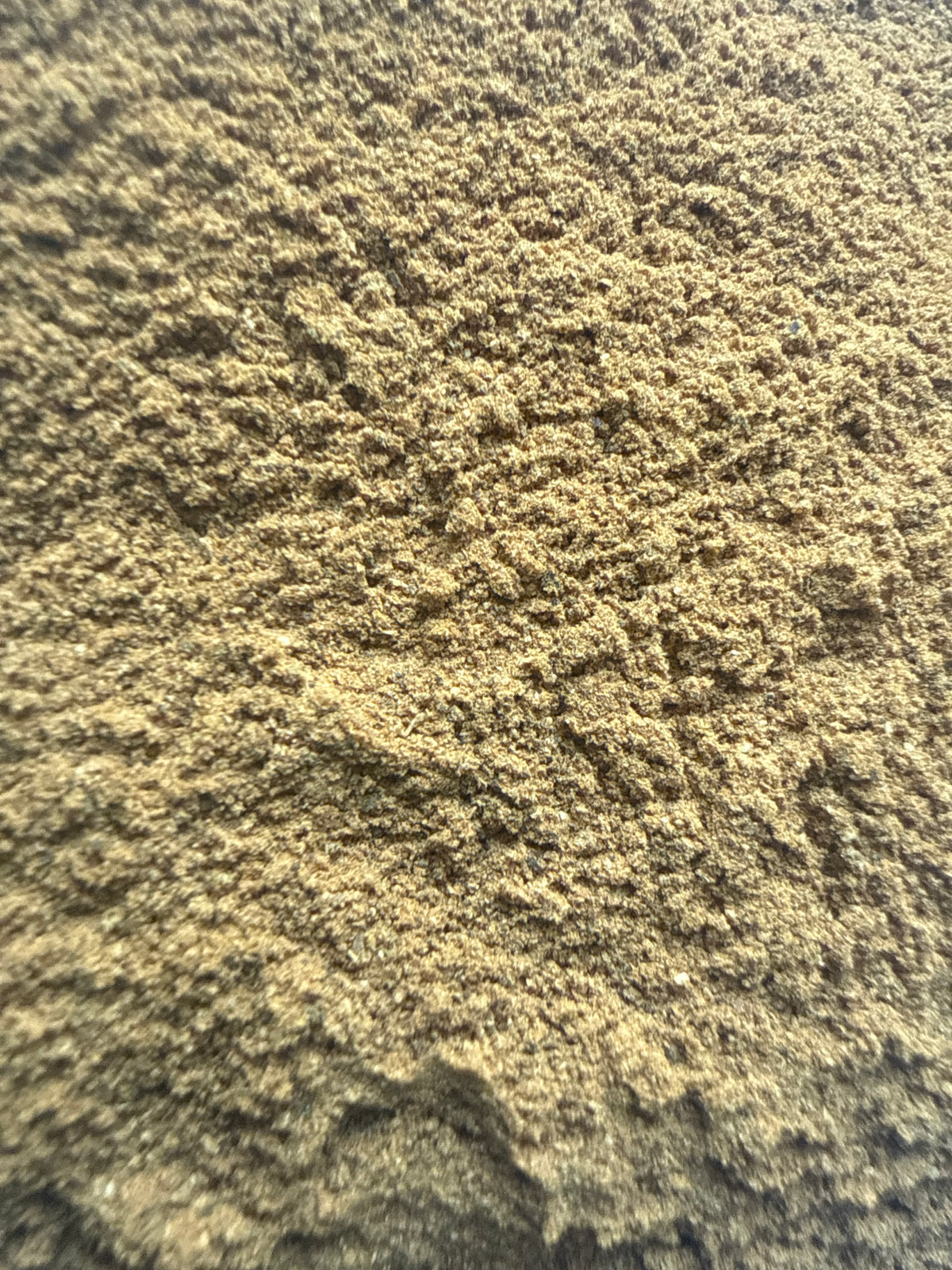 Turkey Rhubarb Root Powder (Rheum palmatum) Organic – GARDENS OF THE ANCIENTS®