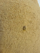 Bitter Orange Peel Powder – Citrus aurantium – GARDENS OF THE ANCIENTS®