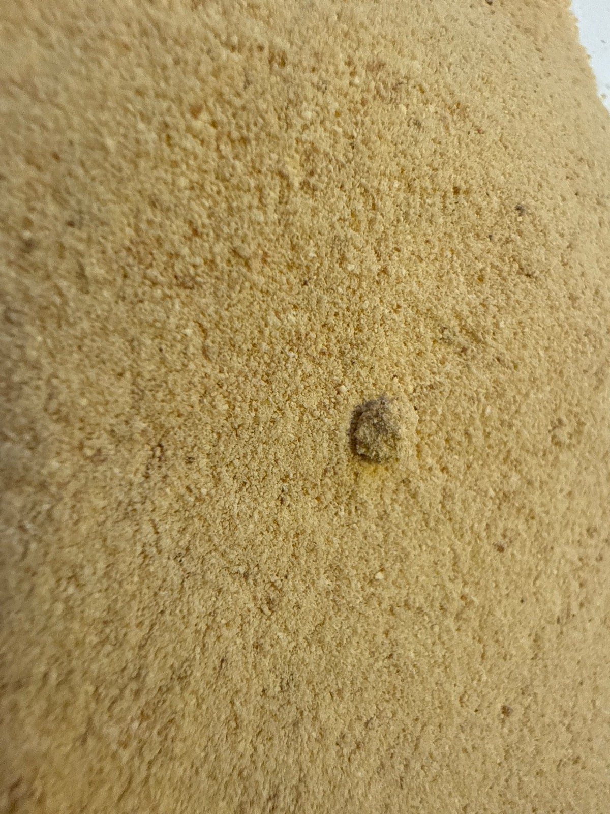 Bitter Orange Peel Powder (Citrus aurantium) – GARDENS OF THE ANCIENTS®
