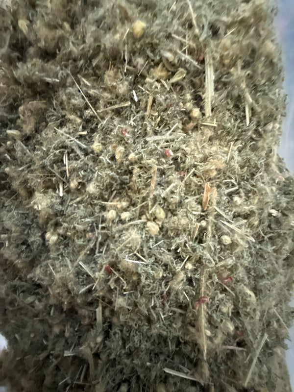 Yarrow Herb Cut – Achillea millefolium – GARDENS OF THE ANCIENTS®