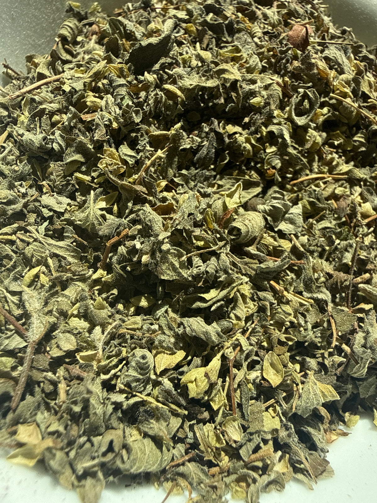 Oregano (Origanum vulgare) Wildcrafted – GARDENS OF THE ANCIENTS®