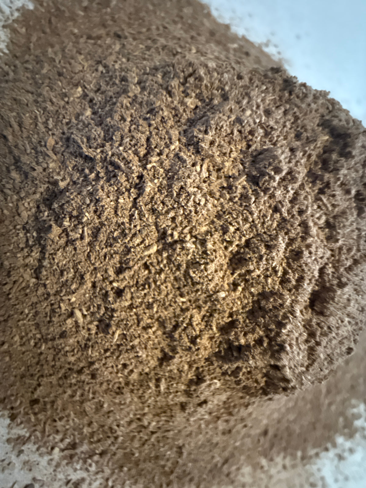Red Root Powder (Ceanothus americanus) – GARDENS OF THE ANCIENTS®