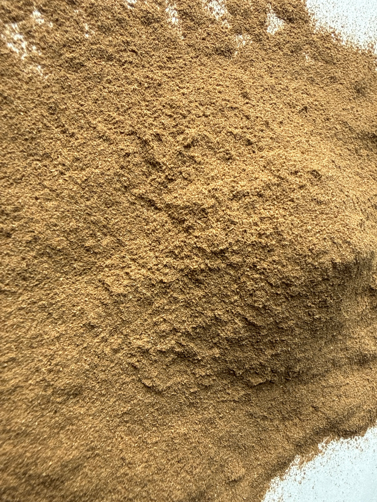 Sheep Sorrel Powder (Rumex acetosella) – GARDENS OF THE ANCIENTS®