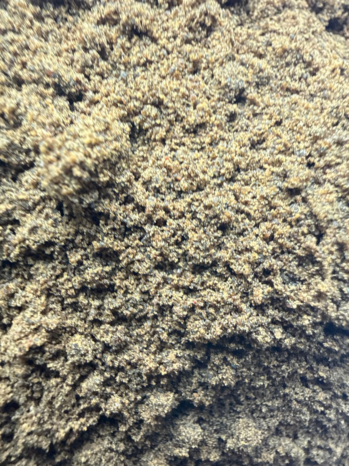 Saint Paul's Wort Powder (Sigesbeckia pubescens) Organic – GARDENS OF THE ANCIENTS®