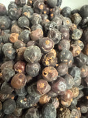 Juniper Berry – Juniperus communis – GARDENS OF THE ANCIENTS®
