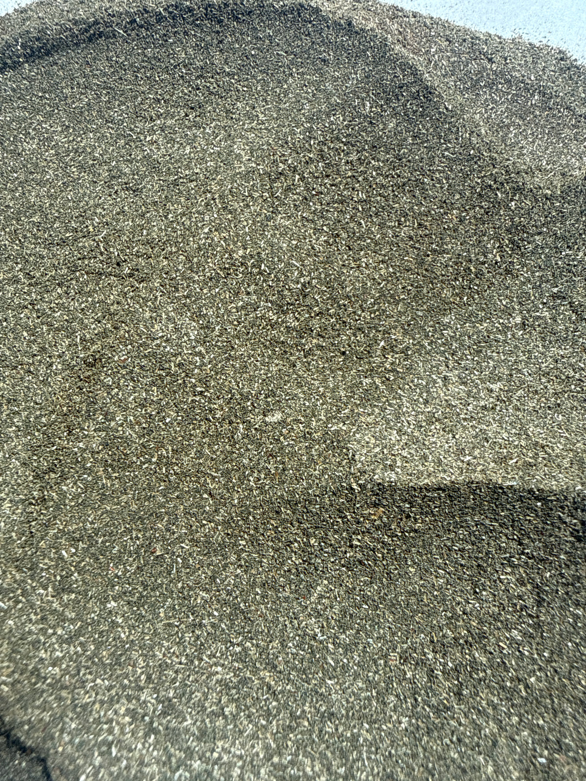 Club Moss Powder