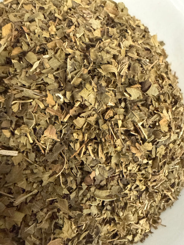 Lemon Verbena Leaf Cut – Aloysia citrodora – GARDENS OF THE ANCIENTS®