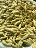 Oat Tops Whole – Avena sativa Organic – GARDENS OF THE ANCIENTS®