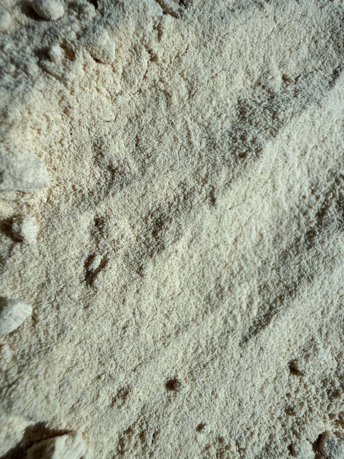 Yellow Maca Extract Powder 4:1 (Lepidium meyenii) – GARDENS OF THE ANCIENTS®