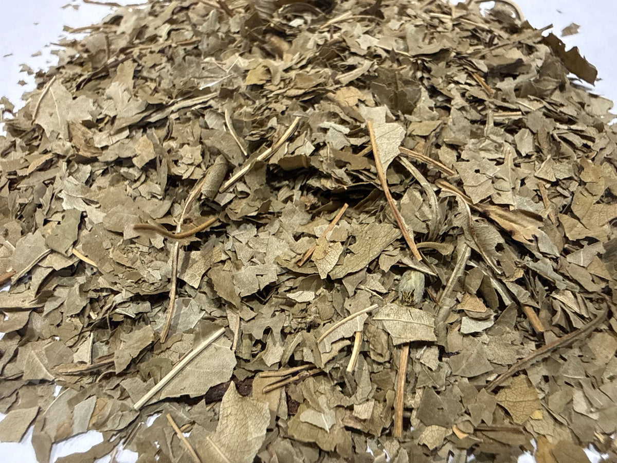 Peach Leaf – Prunus persica – GARDENS OF THE ANCIENTS®