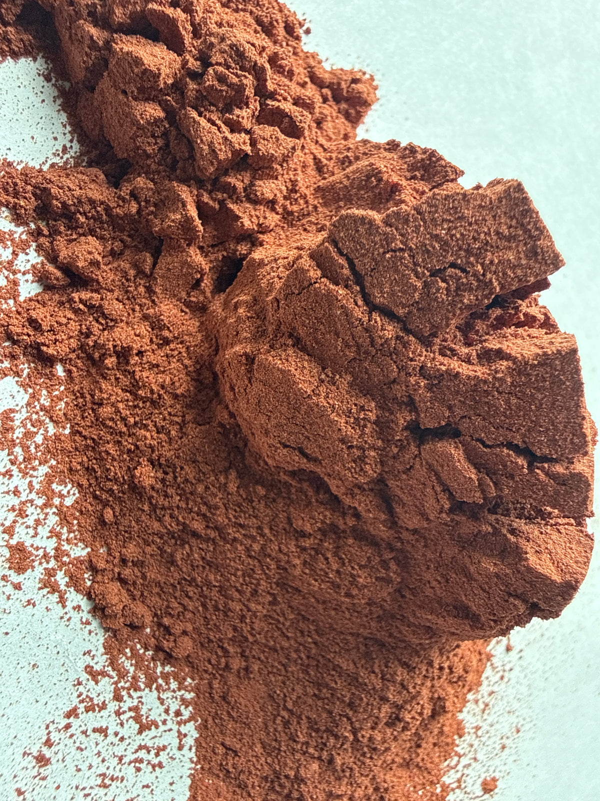 Red Yeast Rice Powder 0.04% (Monascus purpureus) – GARDENS OF THE ANCIENTS®