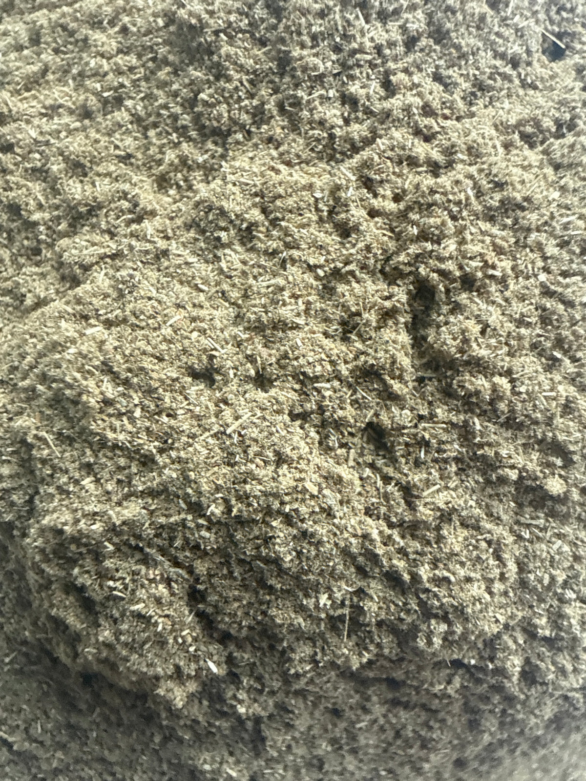 Sweet Violet Leaf Powder (Viola odorata) – GARDENS OF THE ANCIENTS®