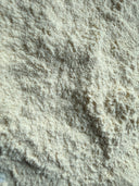 Yucca Root Powder – Yucca spp. Wild Harvested – GARDENS OF THE ANCIENTS®