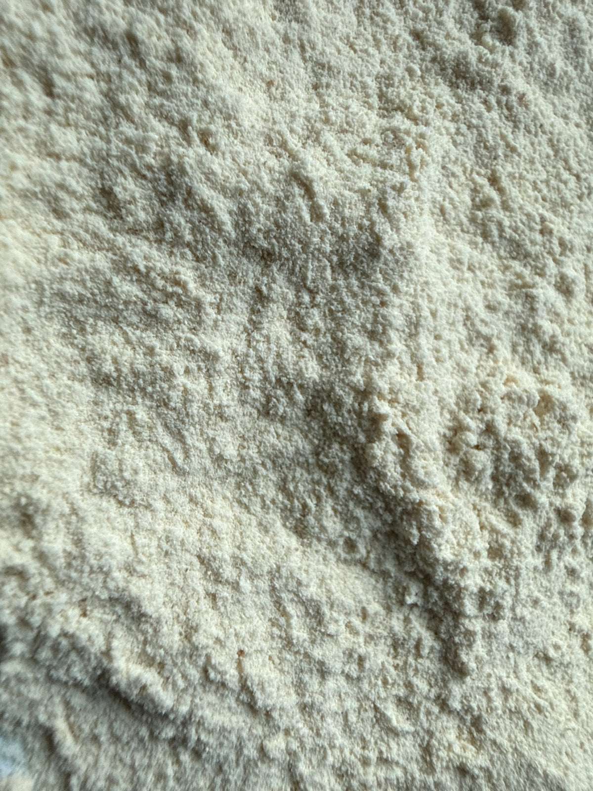 Yucca Root Powder (Yucca spp.) Wild Harvested – GARDENS OF THE ANCIENTS®