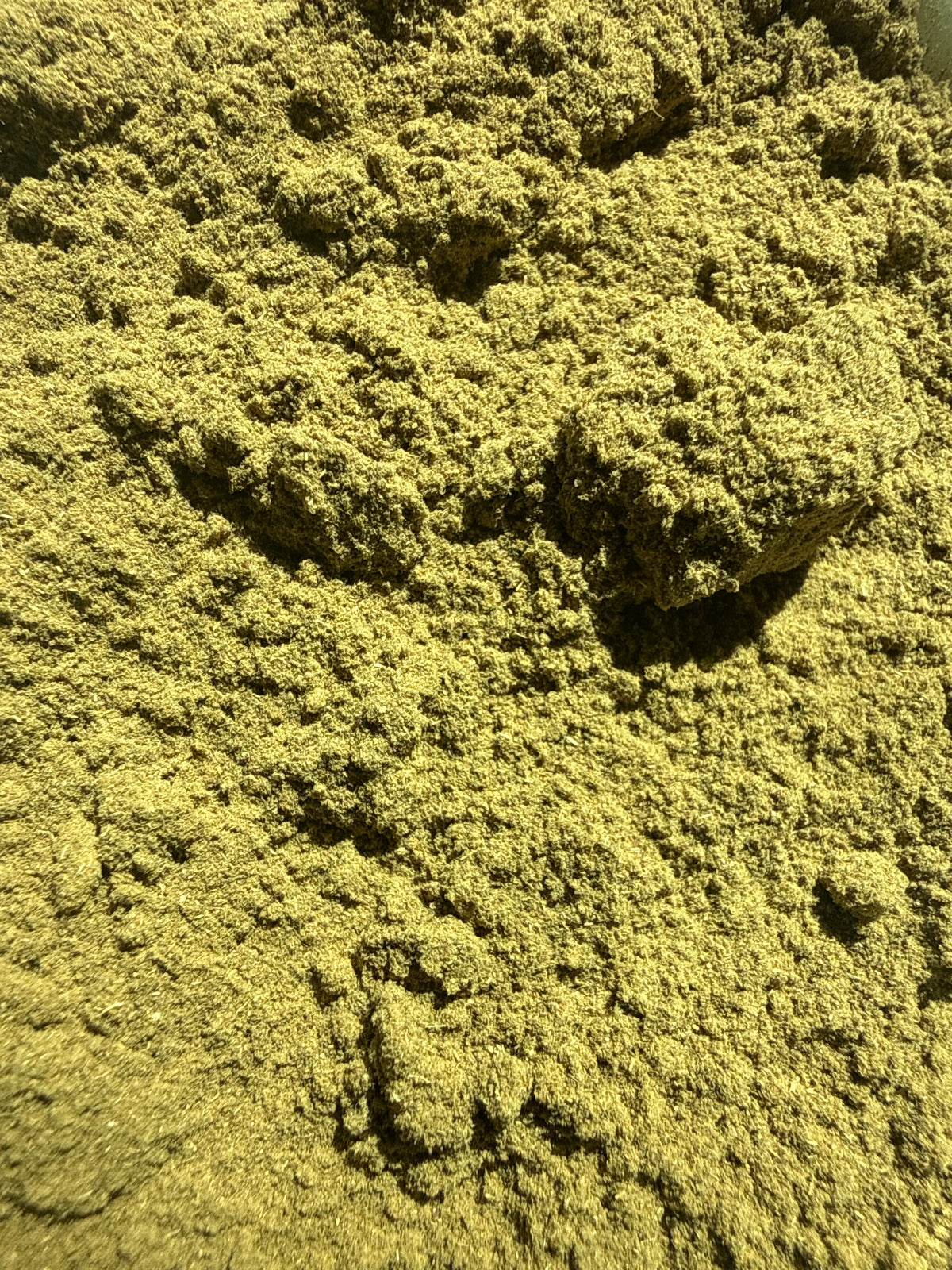 Sage Leaf Powder Rubbed (Salvia officinalis) Organic – GARDENS OF THE ANCIENTS®