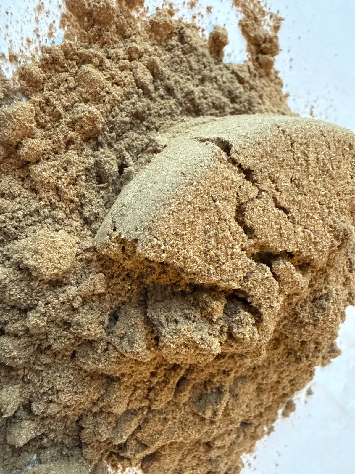 Prickly Ash Bark Powder (Zanthoxylum clava-herculis) – GARDENS OF THE ANCIENTS®