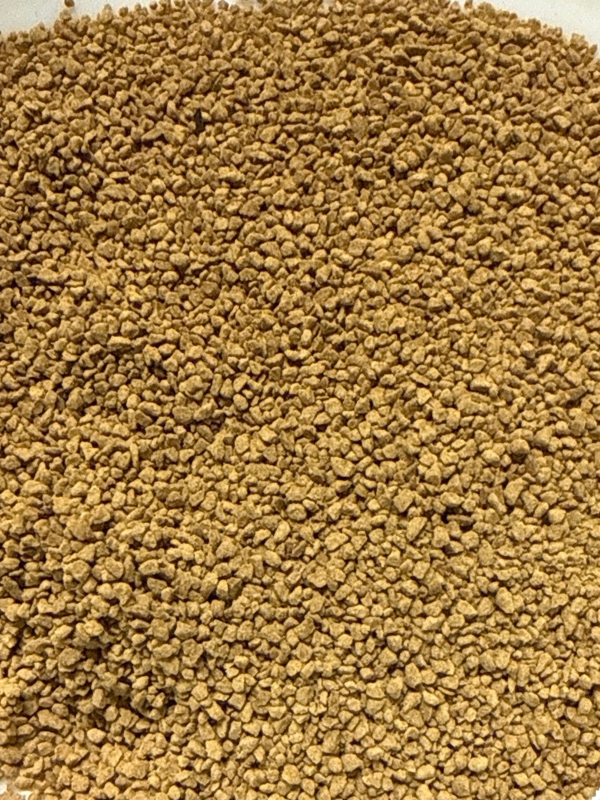 Alisma Tuber Extract Granules 5:1 (Ze Xie 泽泻, Alisma orientale) – GARDENS OF THE ANCIENTS®