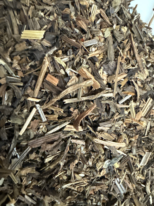 Plantain Leaf Cut – Plantago lanceolata – GARDENS OF THE ANCIENTS®