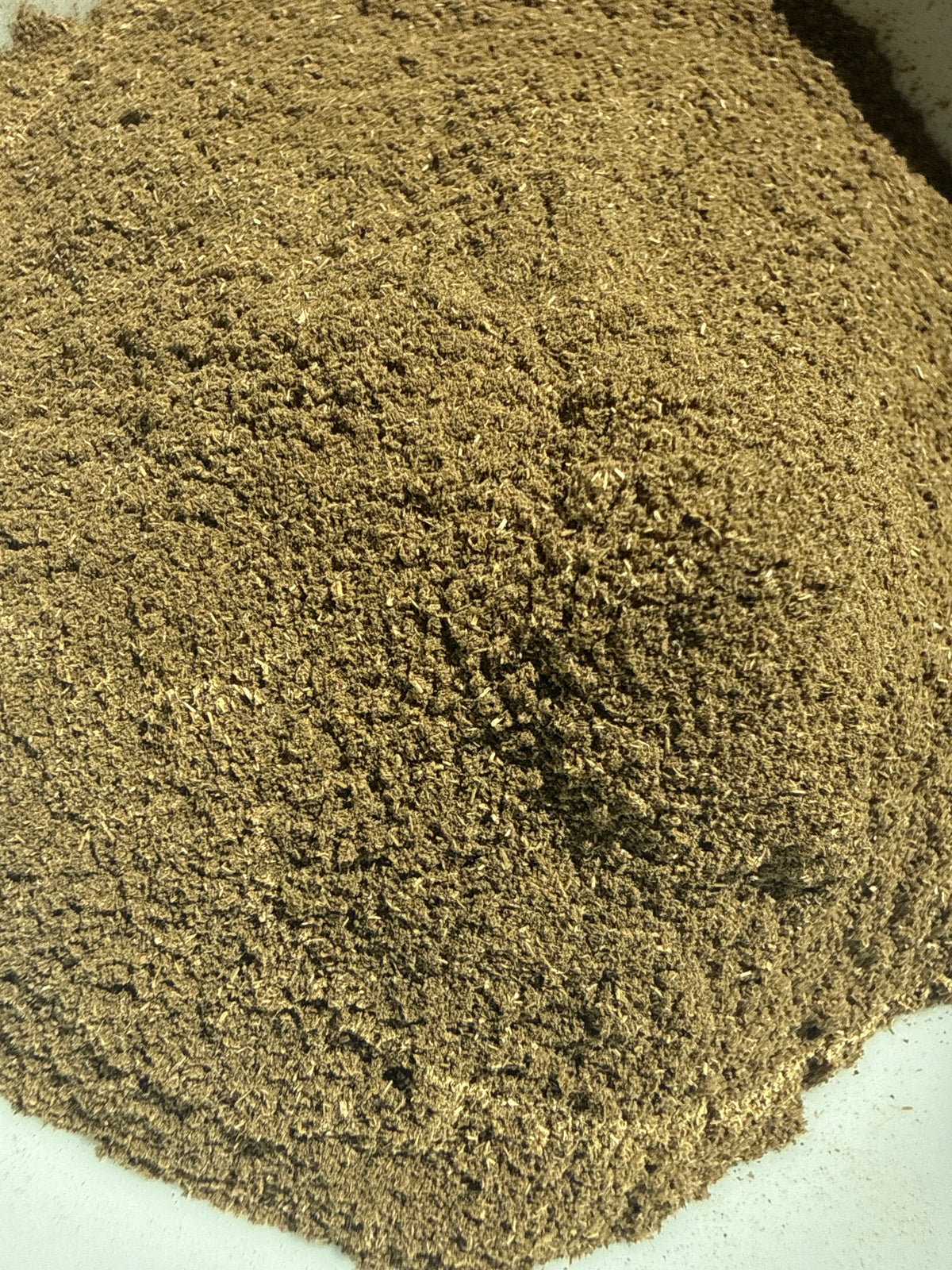 Peppermint Powder (Mentha × piperita) Organic – GARDENS OF THE ANCIENTS®