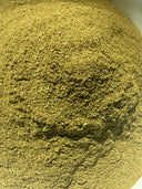 Moringa Powder – Moringa oleifera Wildcrafted – GARDENS OF THE ANCIENTS®