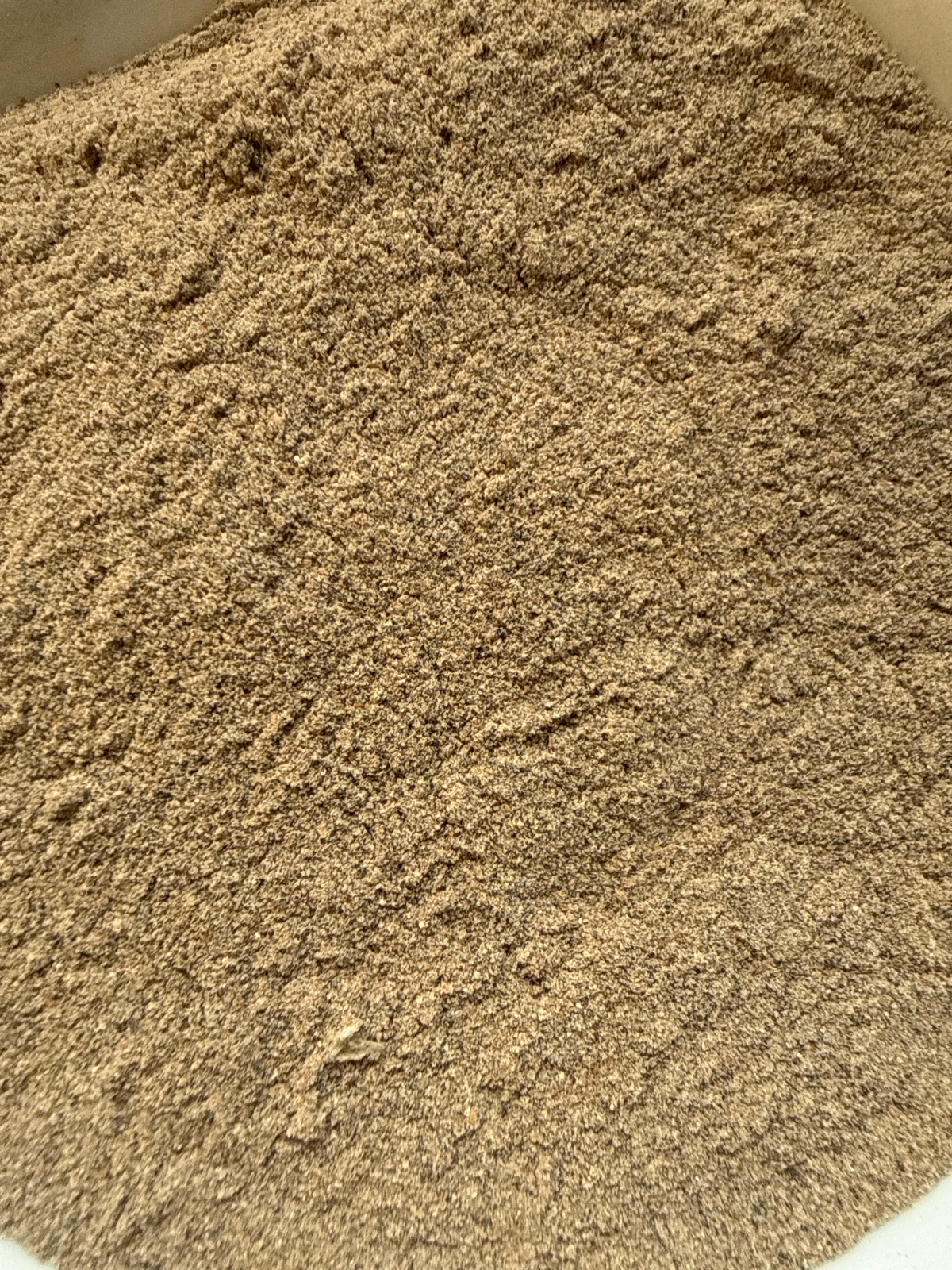 Cardamom Powder (Elettaria cardamomum) Organic