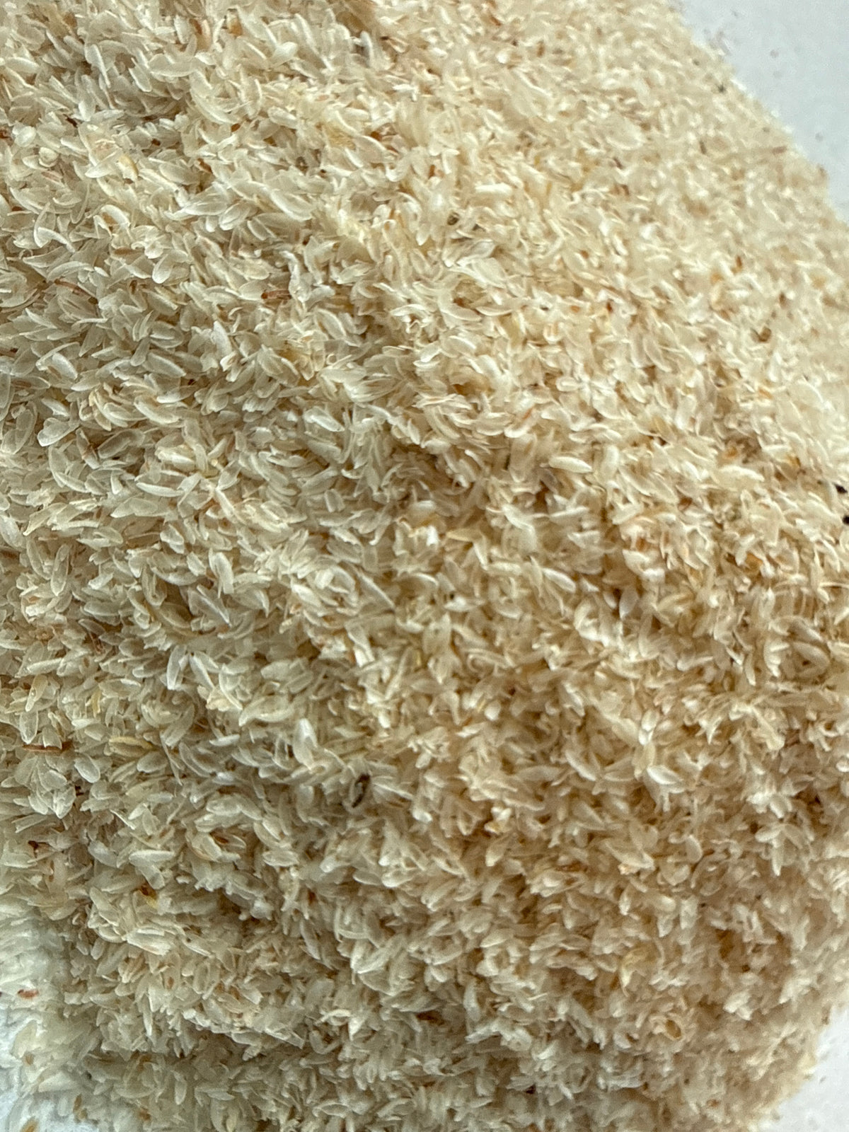 Psyllium Husk Whole (Plantago ovata) Organic – GARDENS OF THE ANCIENTS®