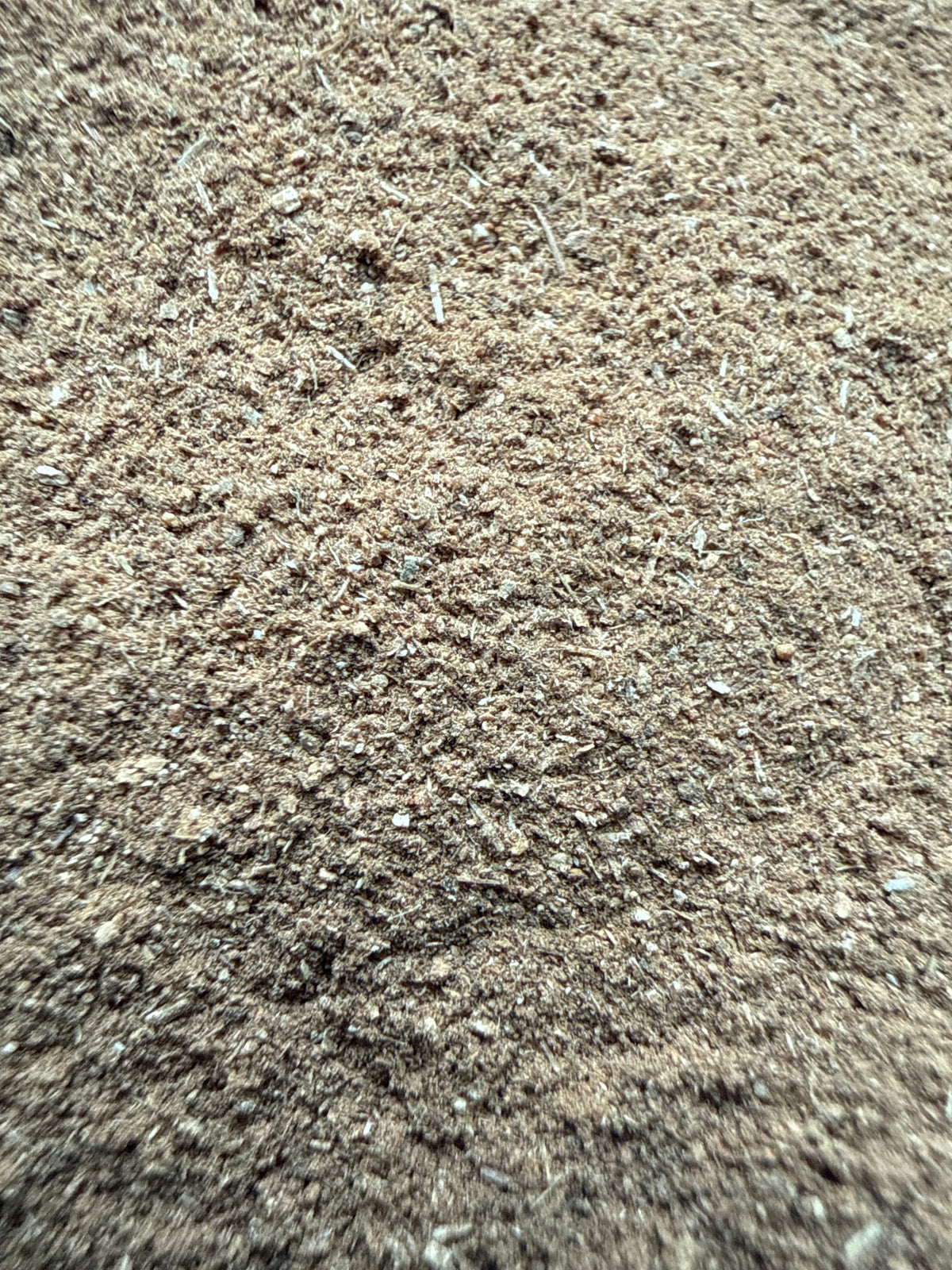 White Oak Bark Powder (Quercus alba) Organic – GARDENS OF THE ANCIENTS®