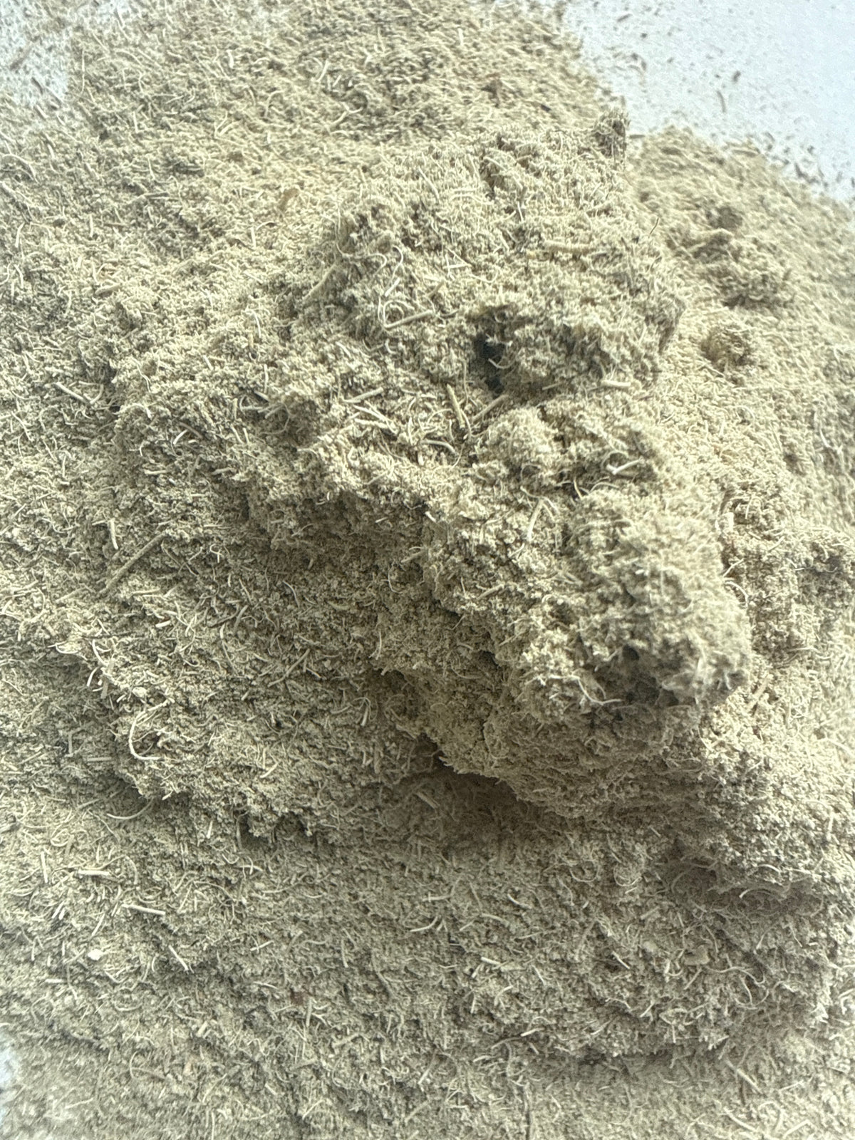 Usnea Lichen Powder (Usnea barbata) – GARDENS OF THE ANCIENTS®