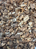Burdock Root – Arctium lappa – GARDENS OF THE ANCIENTS®