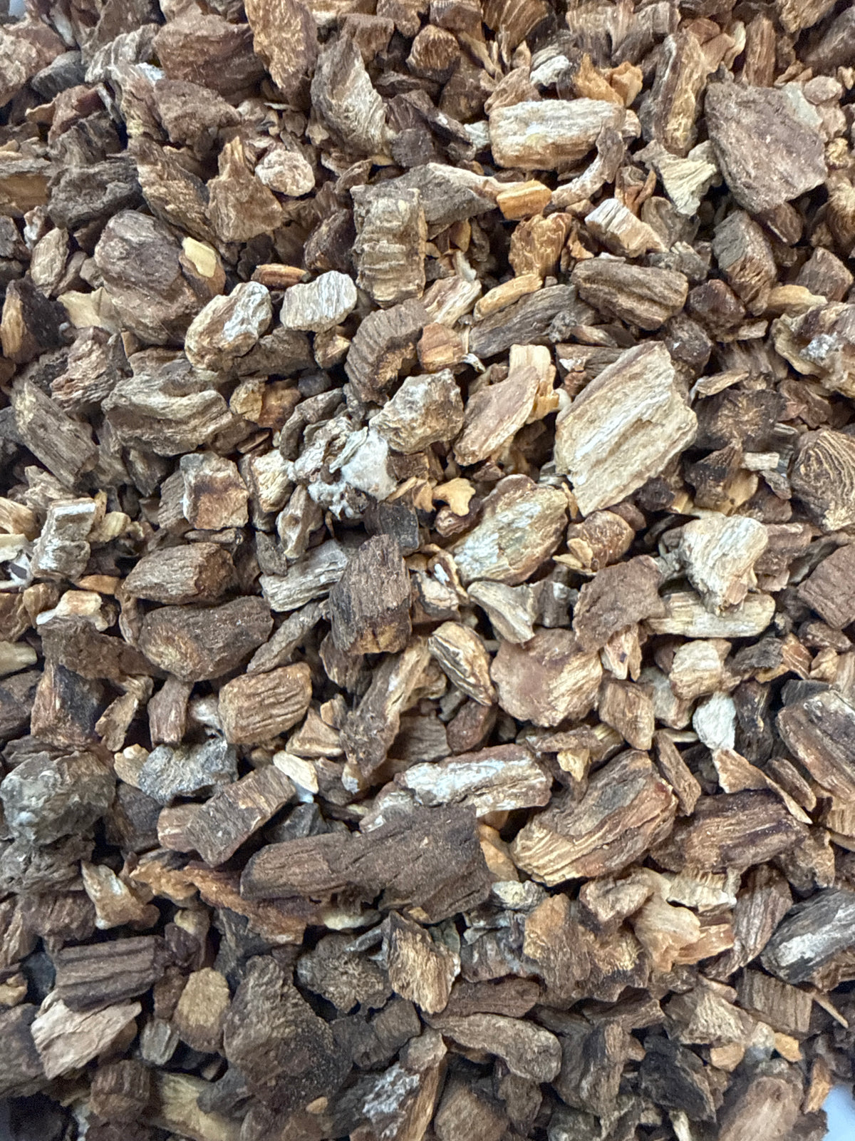 Burdock Root – Arctium lappa – GARDENS OF THE ANCIENTS®