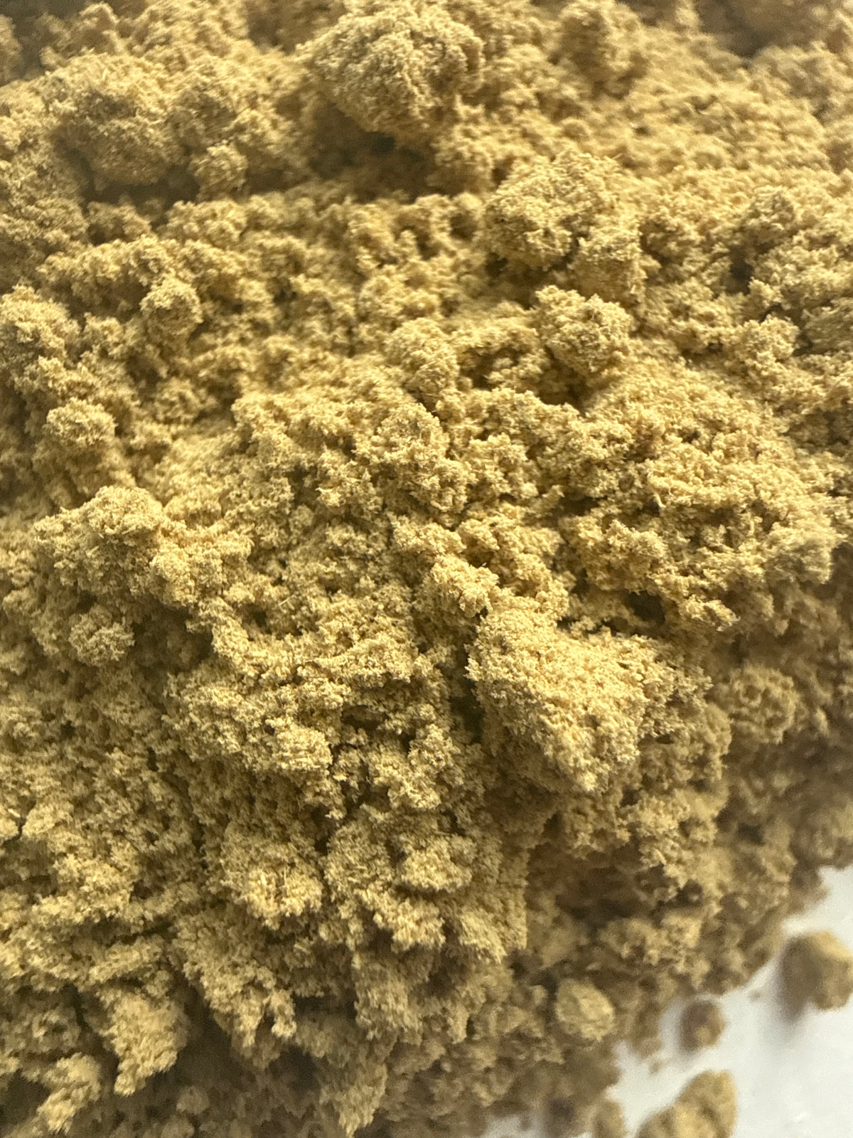 Tribulus Terrestris Powder (Tribulus terrestris) Organic – GARDENS OF THE ANCIENTS®