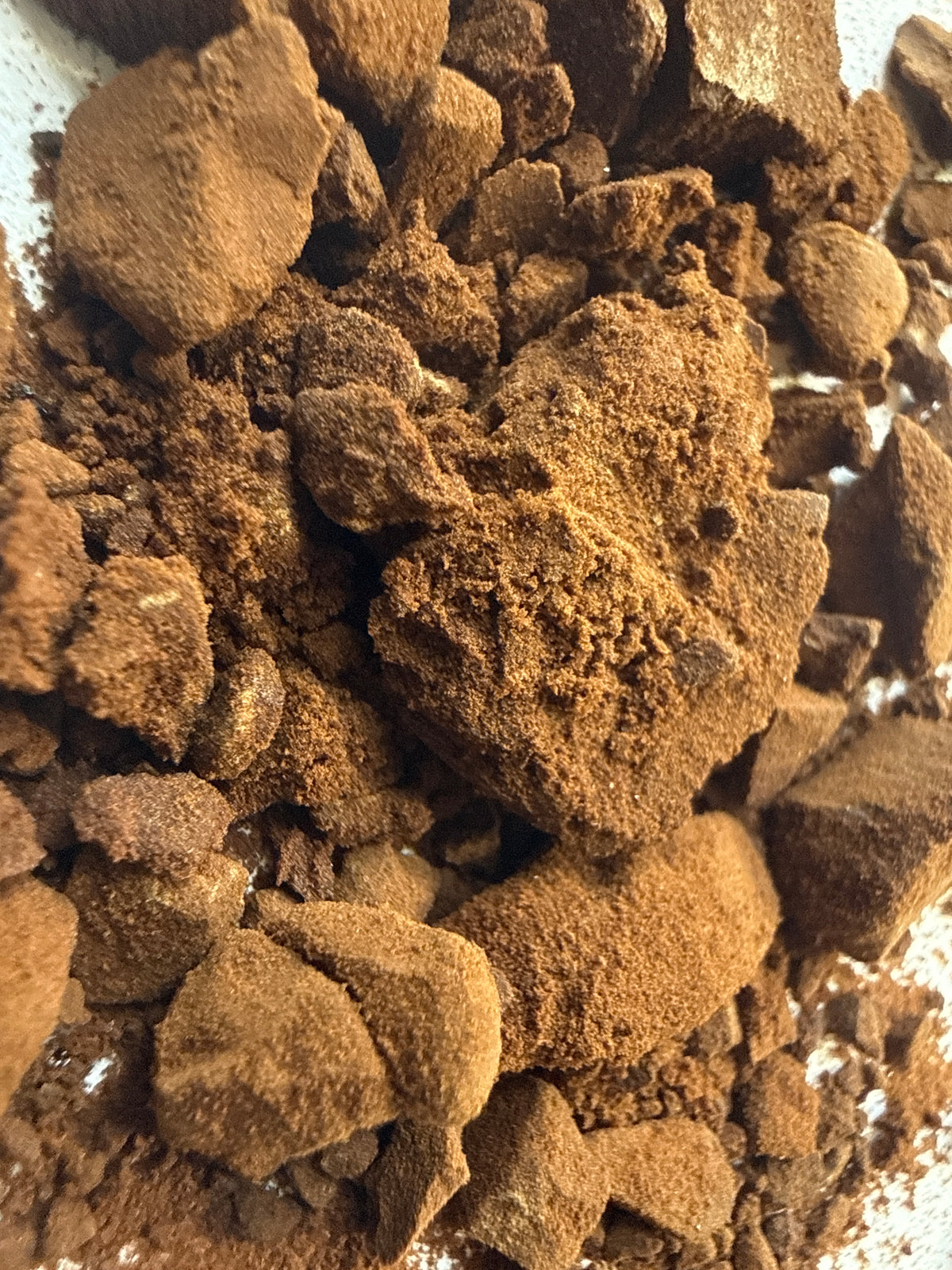 Incarvillea Extract Powder 20:1 (Incarvillea sinensis) – GARDENS OF THE ANCIENTS®