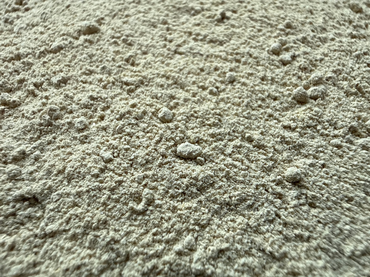 LongJack Extract Powder 4:1 (Eurycoma longifolia) – GARDENS OF THE ANCIENTS®