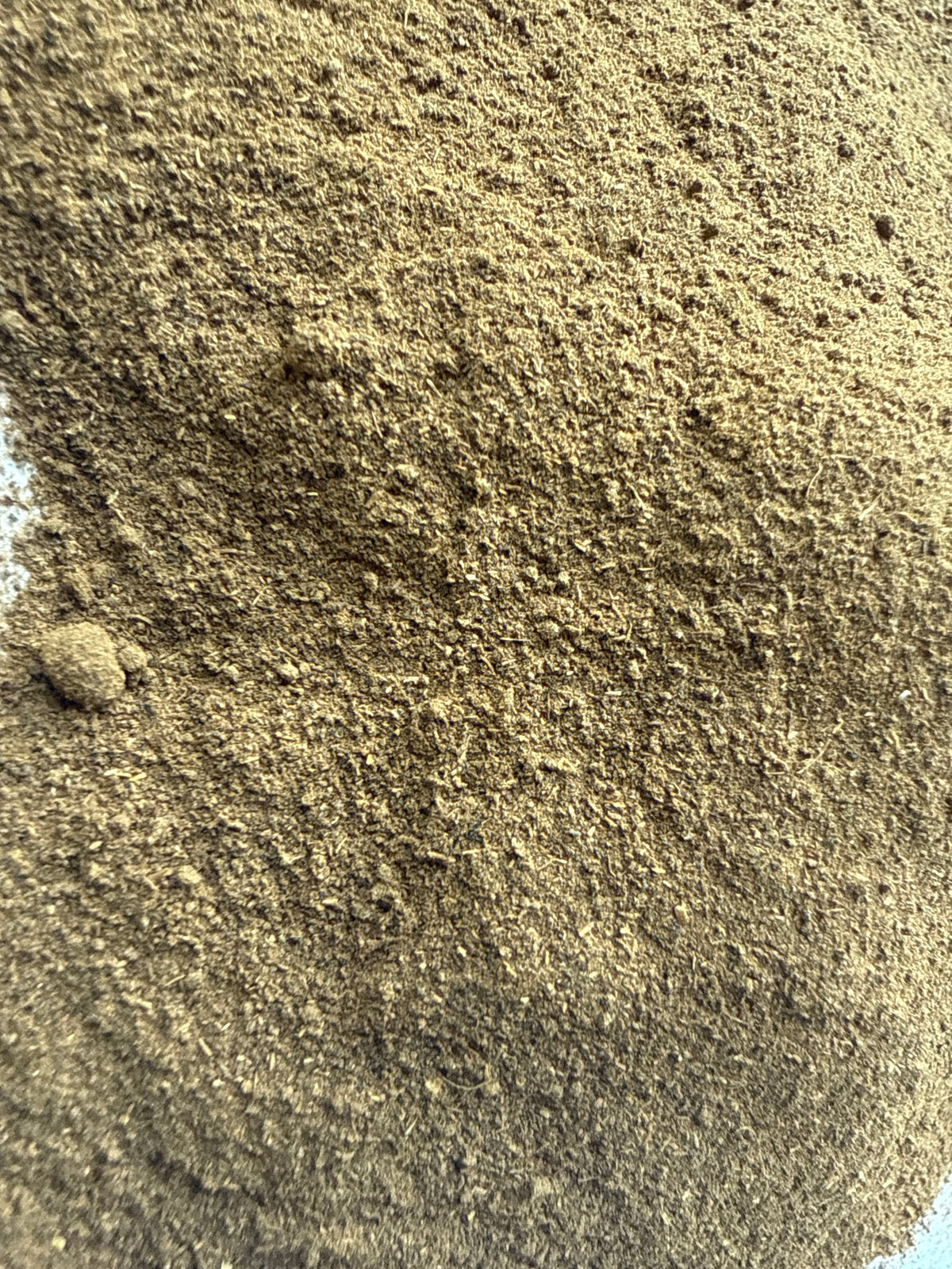 Yellow Dock Root Powder (Rumex crispus) – GARDENS OF THE ANCIENTS®