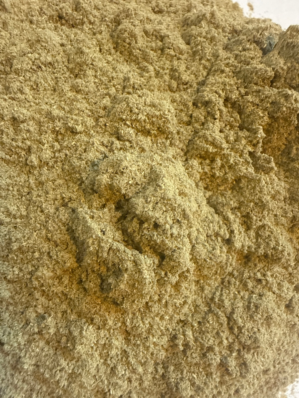 Goat Rue Powder (Galega officinalis) – GARDENS OF THE ANCIENTS®