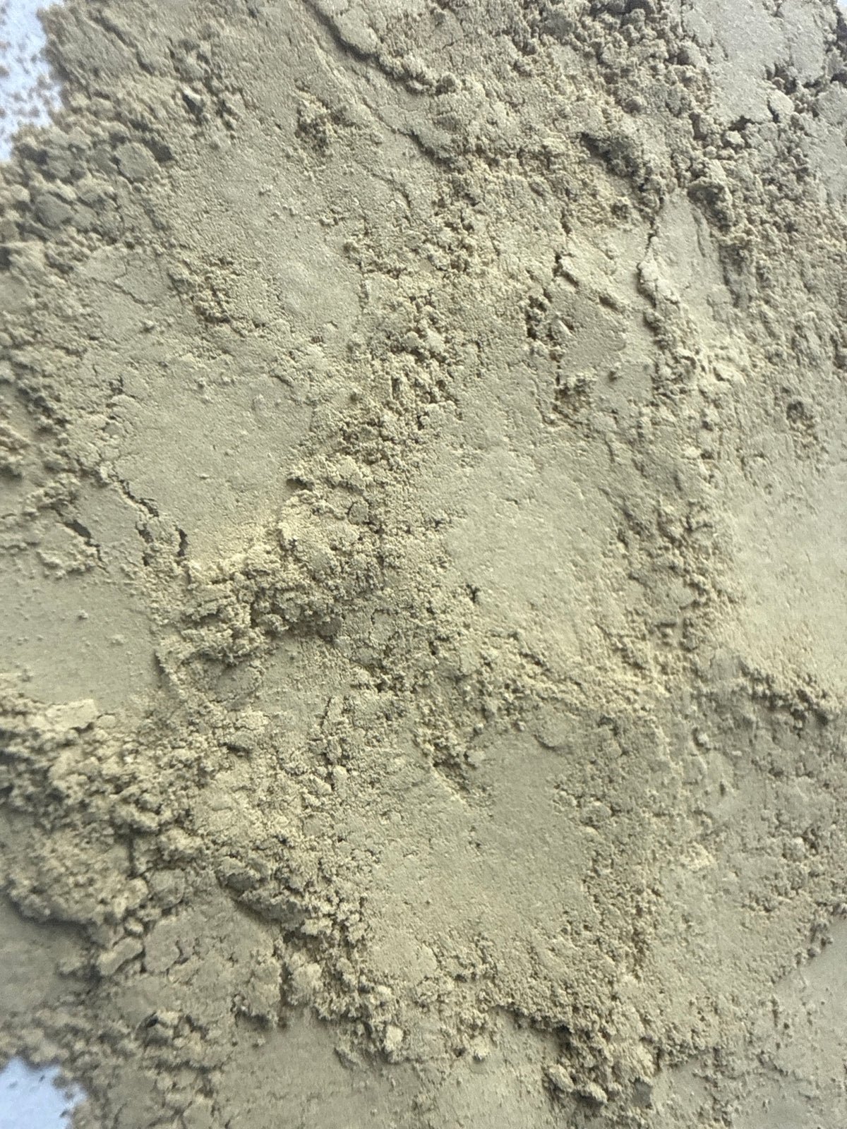 Uva Ursi Leaf Powder (Arctostaphylos uva-ursi) – GARDENS OF THE ANCIENTS®