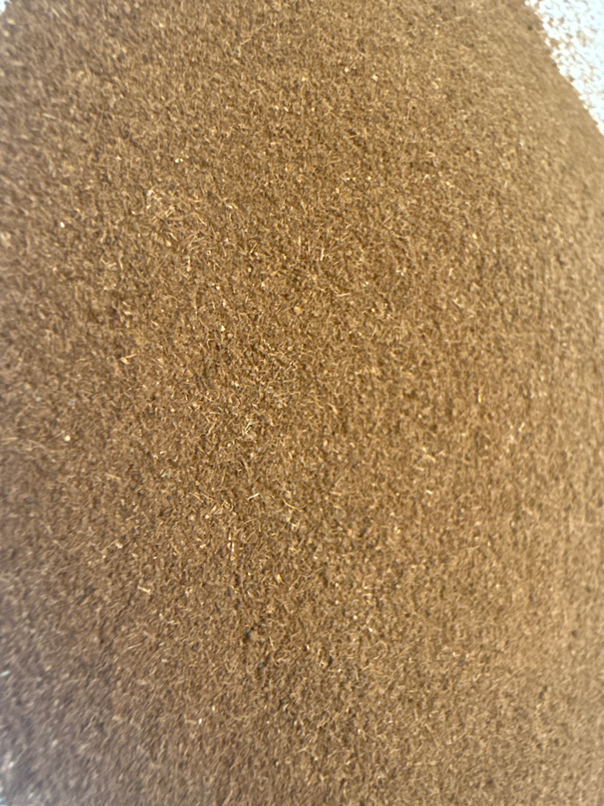 Pygeum Africanum Powder (Prunus africana) – GARDENS OF THE ANCIENTS®