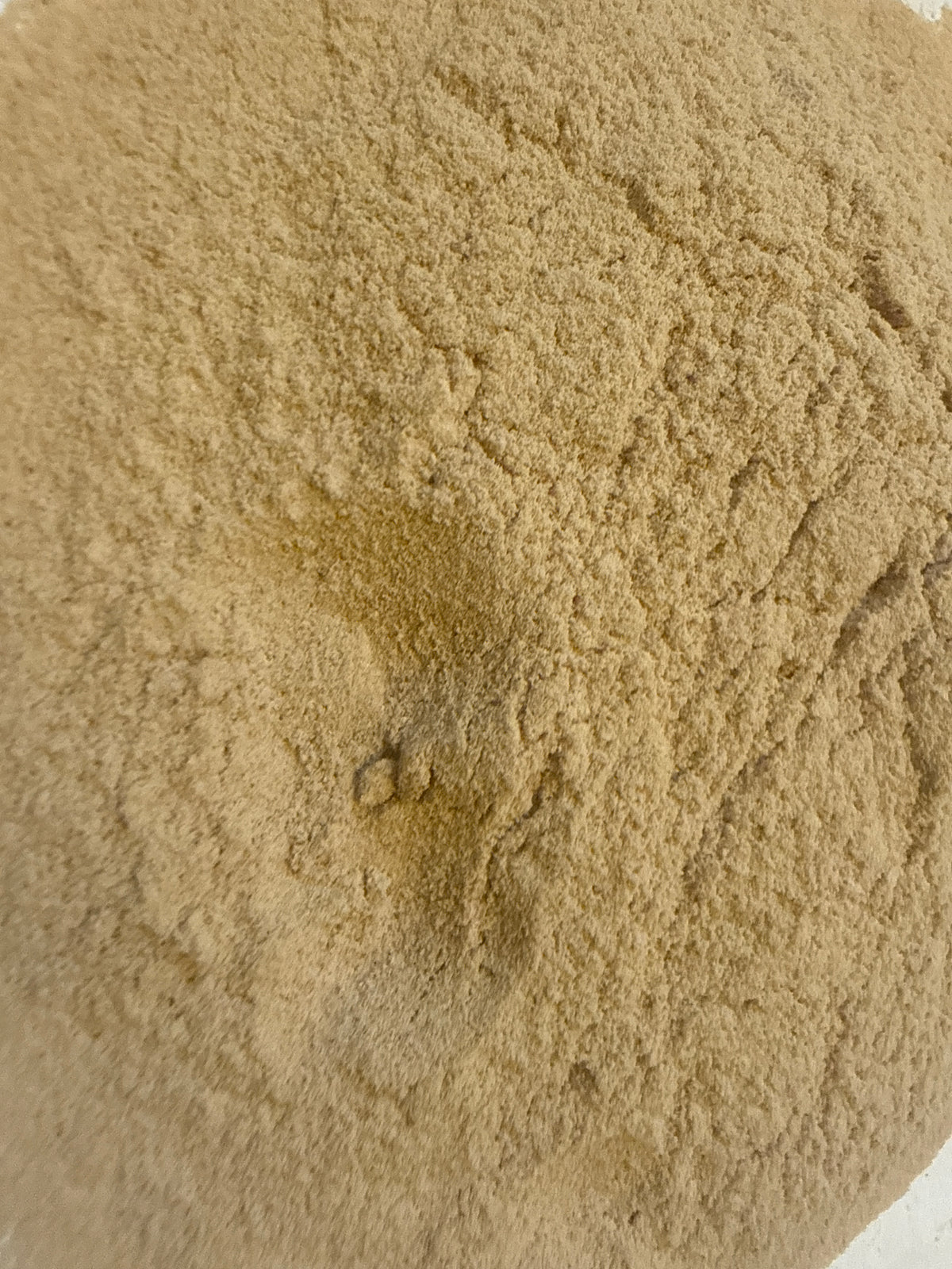 Poria Extract Powder 40% (Wolfiporia cocos) – GARDENS OF THE ANCIENTS®