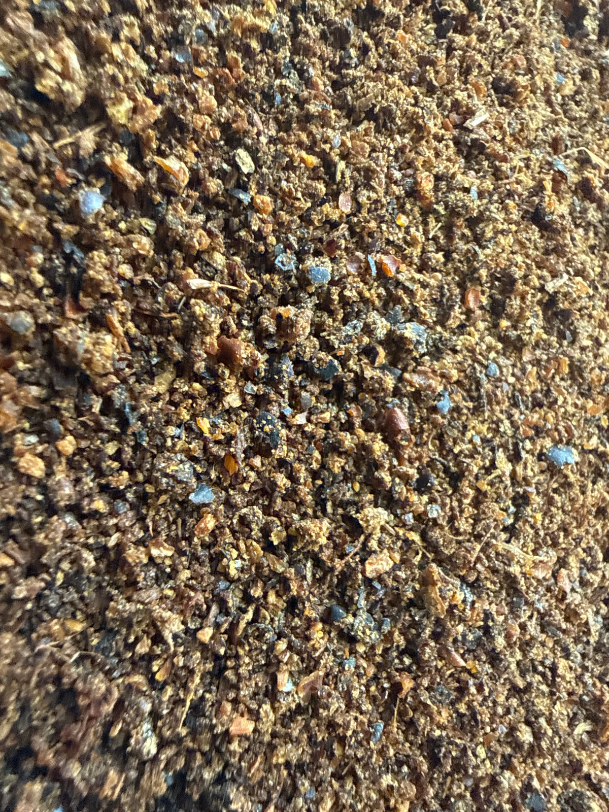 Juniper Berry Powder Coarse (Juniperus communis) – GARDENS OF THE ANCIENTS®